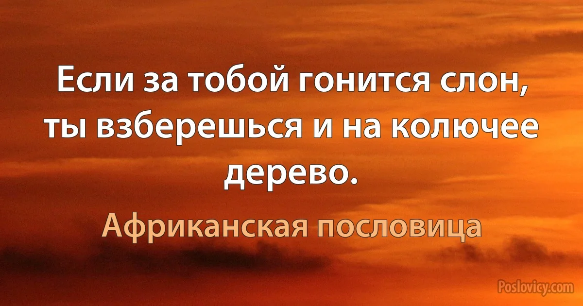 Если за тобой гонится слон, ты взберешься и на колючее дерево. (Африканская пословица)