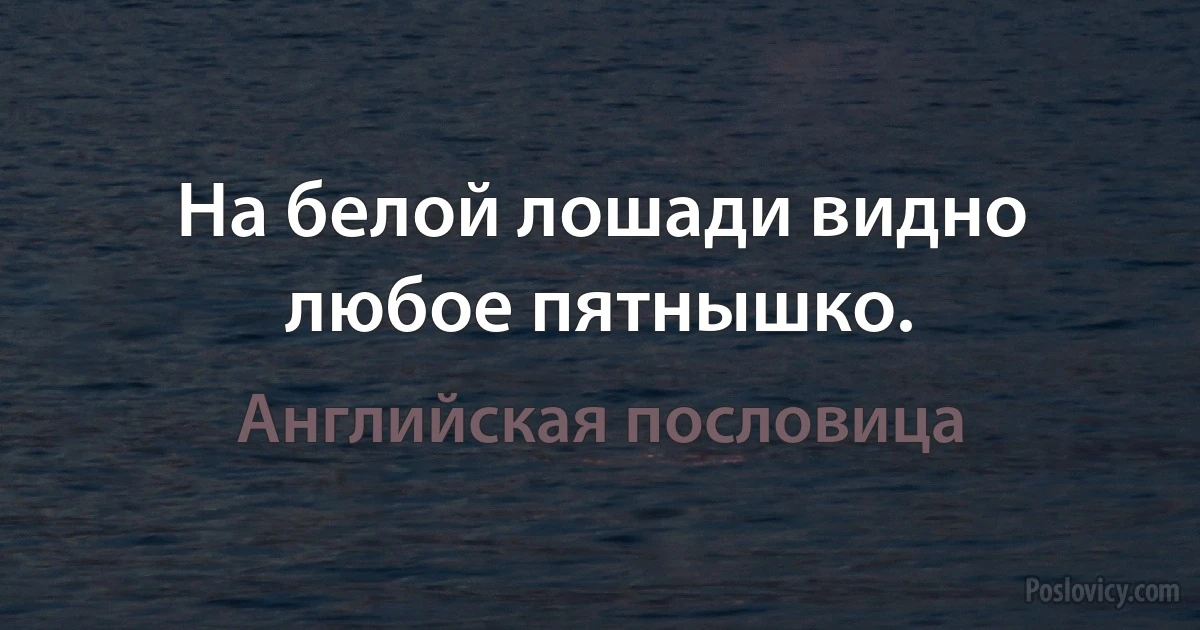 На белой лошади видно любое пятнышко. (Английская пословица)