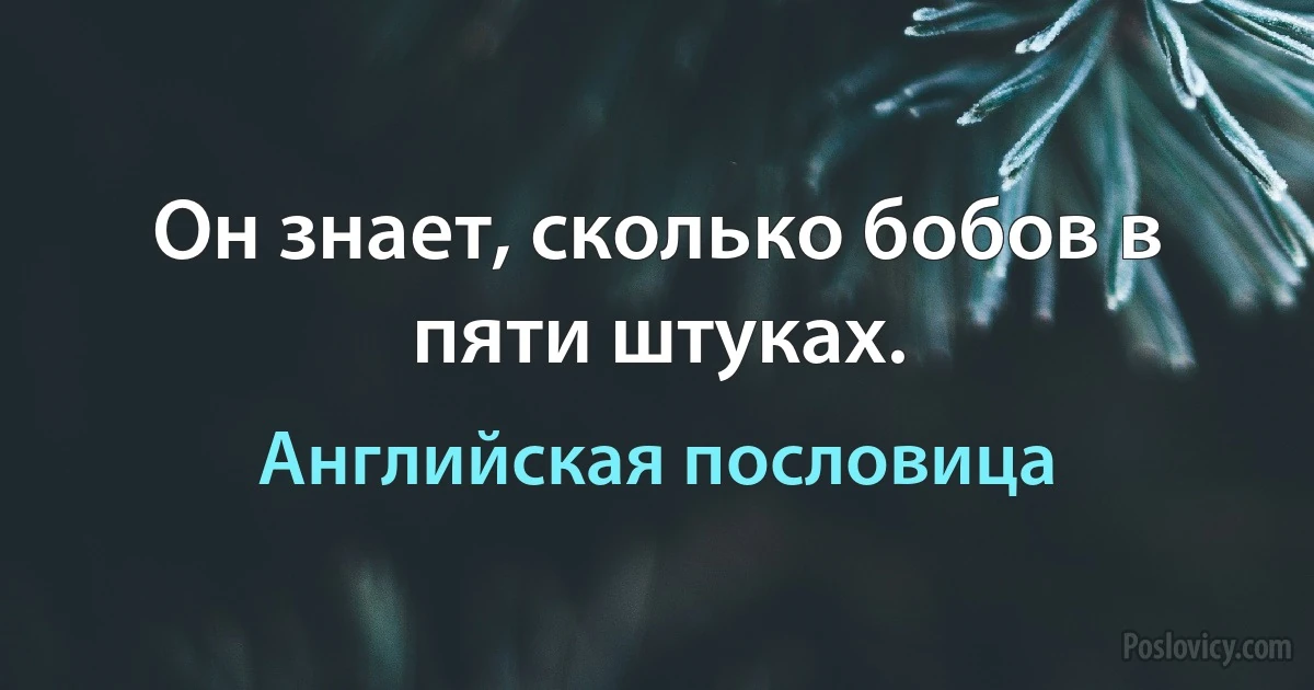 Он знает, сколько бобов в пяти штуках. (Английская пословица)