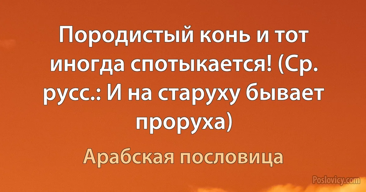 Породистый конь и тот иногда спотыкается! (Ср. русс.: И на старуху бывает проруха) (Арабская пословица)