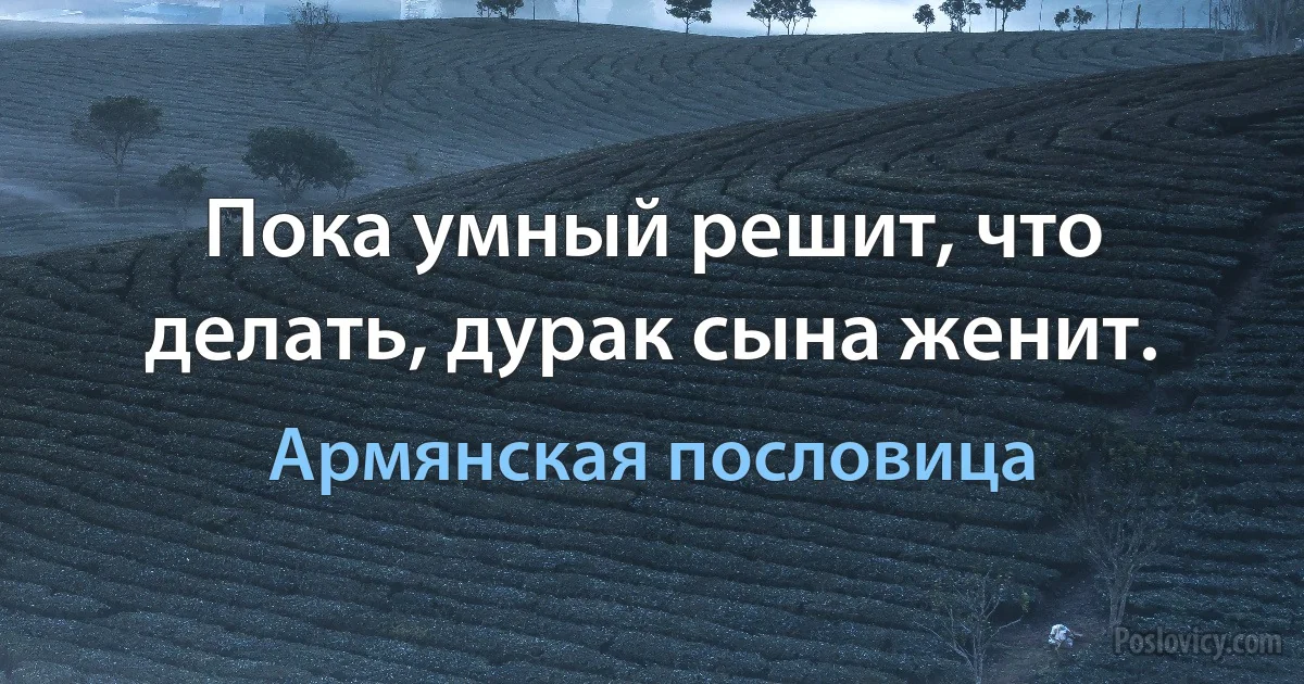 Пока умный решит, что делать, дурак сына женит. (Армянская пословица)