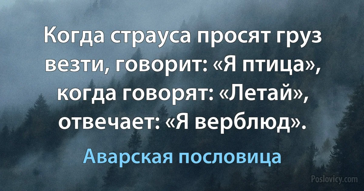 Когда страуса просят груз везти, говорит: «Я птица», когда говорят: «Летай», отвечает: «Я верблюд». (Аварская пословица)