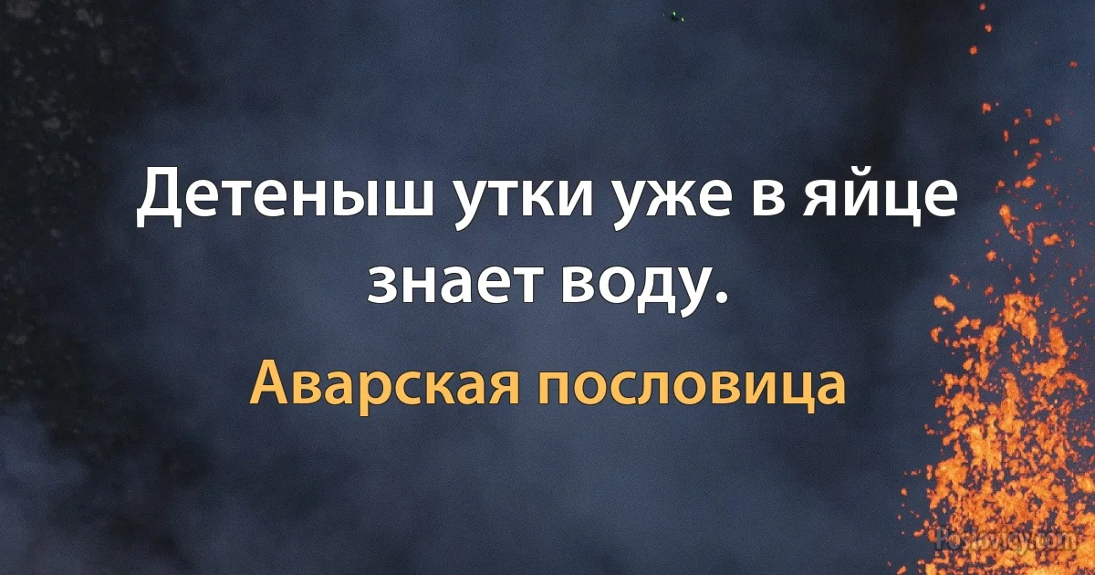 Детеныш утки уже в яйце знает воду. (Аварская пословица)