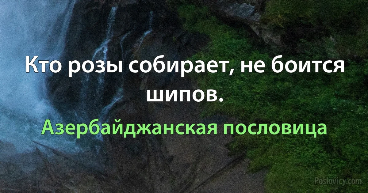 Кто розы собирает, не боится шипов. (Азербайджанская пословица)