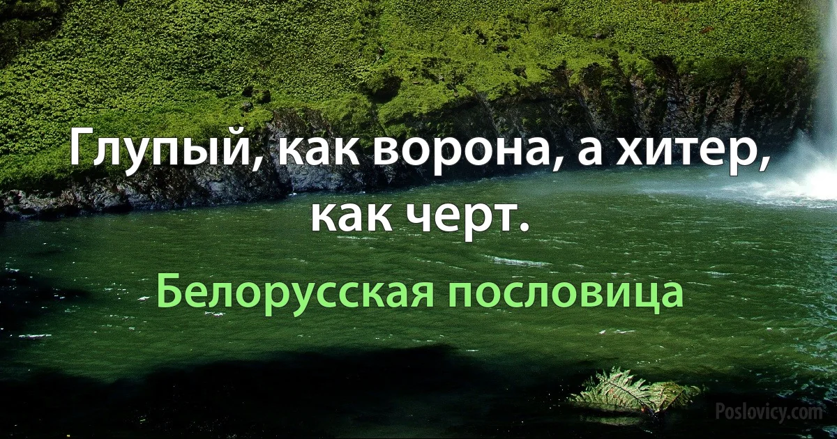 Глупый, как ворона, а хитер, как черт. (Белорусская пословица)