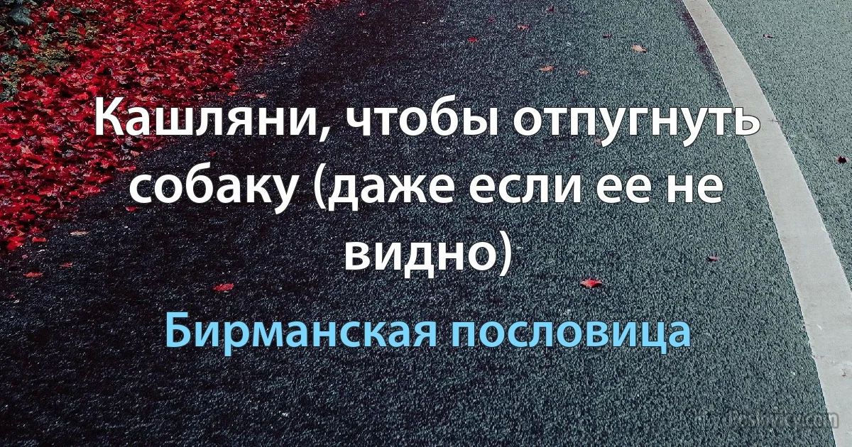 Кашляни, чтобы отпугнуть собаку (даже если ее не видно) (Бирманская пословица)