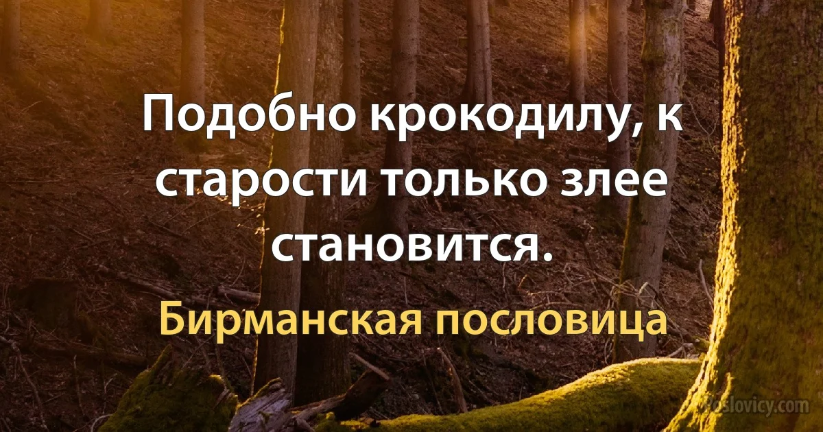 Подобно крокодилу, к старости только злее становится. (Бирманская пословица)