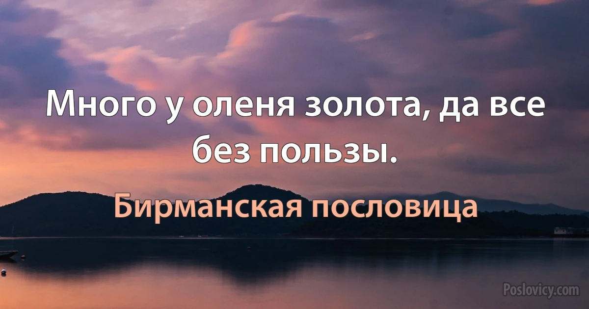 Много у оленя золота, да все без пользы. (Бирманская пословица)