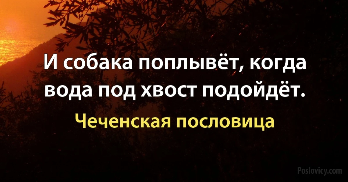 И собака поплывёт, когда вода под хвост подойдёт. (Чеченская пословица)