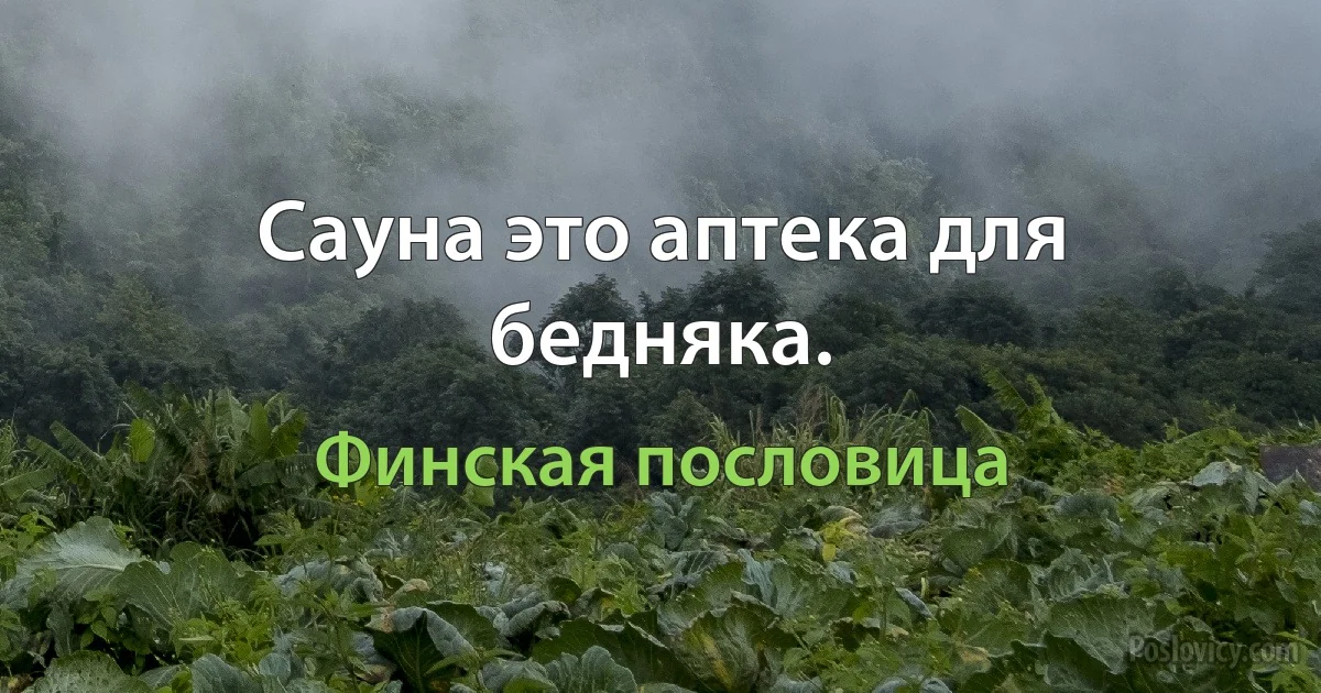 Сауна это аптека для беднякa. (Финская пословица)