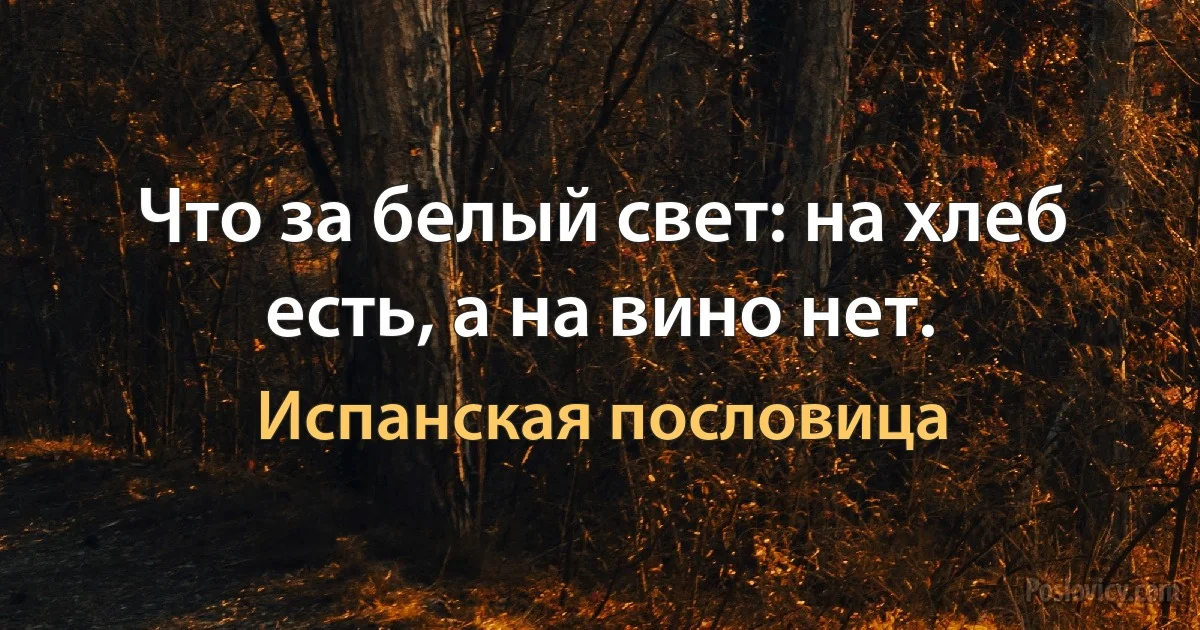 Что за белый свет: на хлеб есть, а на вино нет. (Испанская пословица)