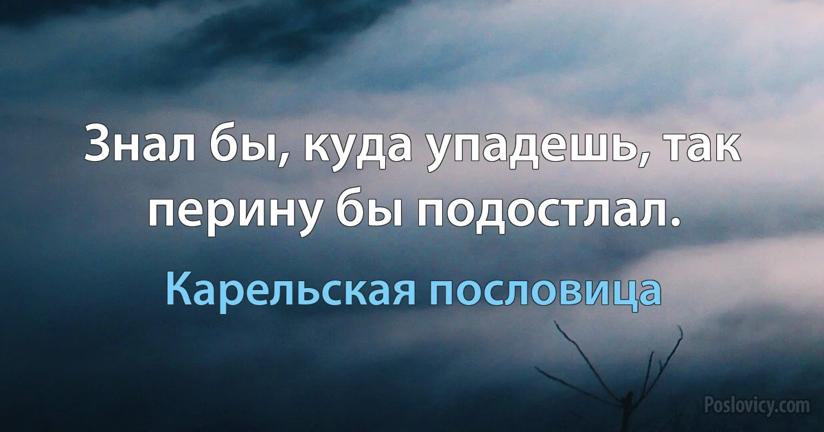 Знал бы, куда упадешь, так перину бы подостлал. (Карельская пословица)