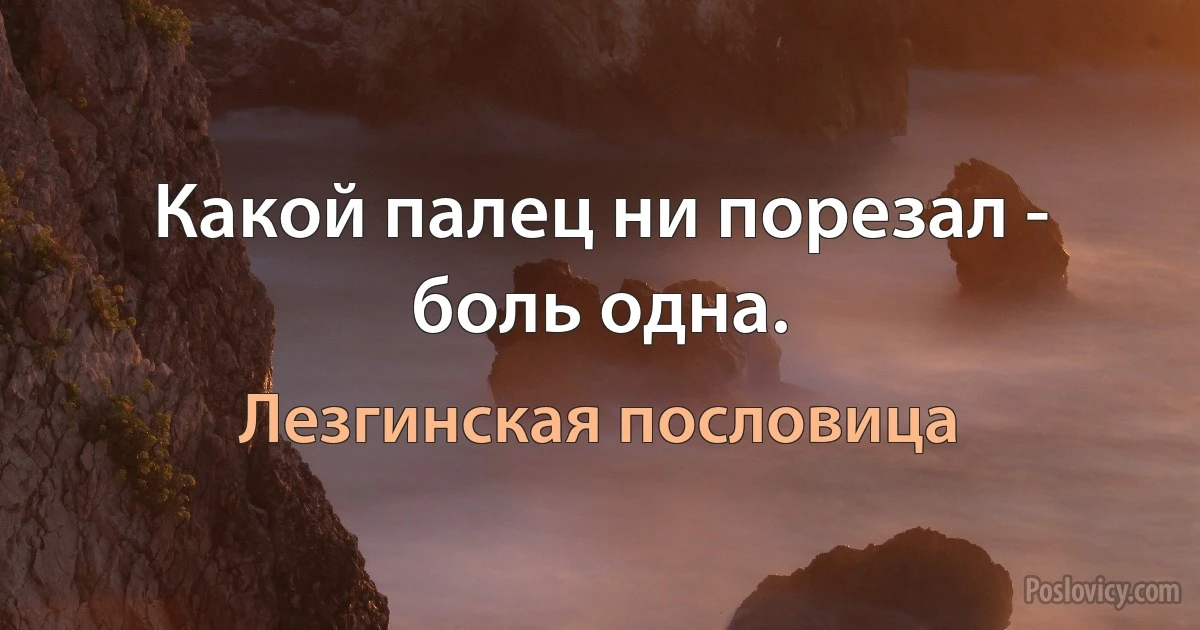 Какой палец ни порезал - боль одна. (Лезгинская пословица)