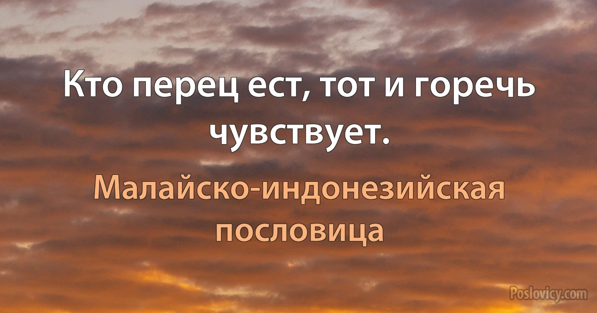 Кто перец ест, тот и горечь чувствует. (Малайско-индонезийская пословица)