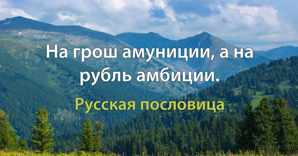 На грош амуниции, а на рубль амбиции. (Русская пословица)