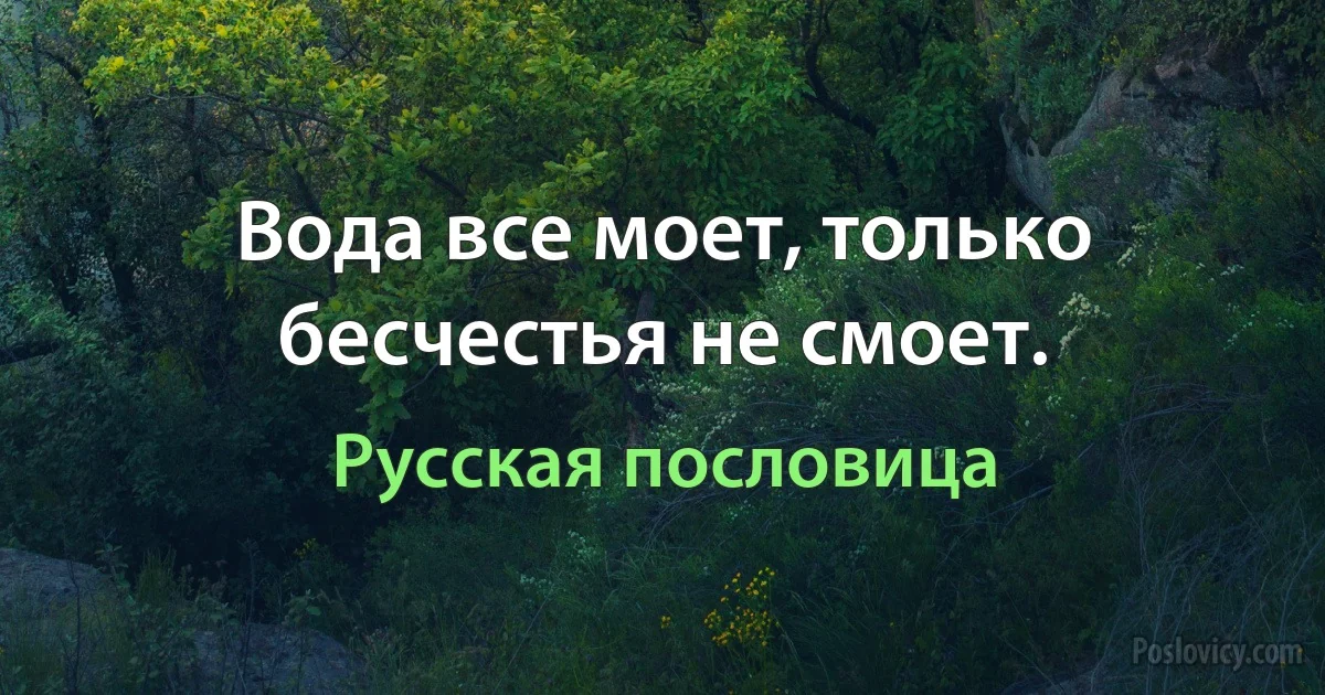 Вода все моет, только бесчестья не смоет. (Русская пословица)