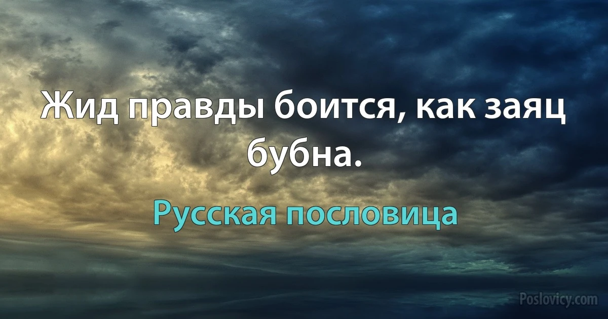 Жид правды боится, как заяц бубна. (Русская пословица)