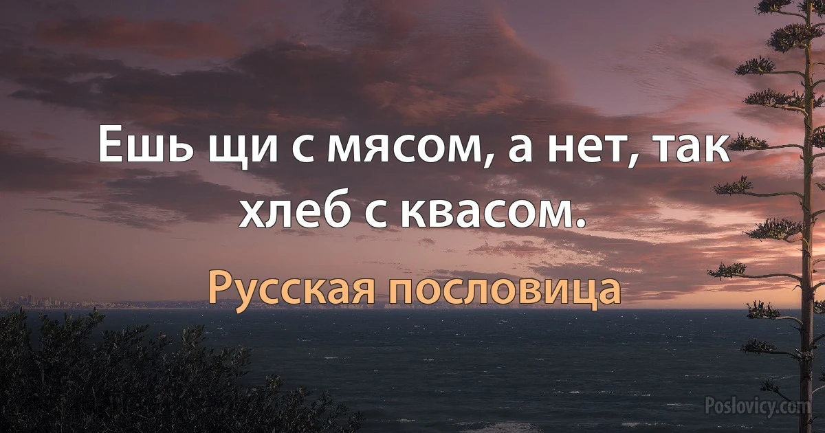 Ешь щи с мясом, а нет, так хлеб с квасом. (Русская пословица)