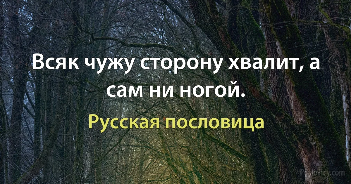 Всяк чужу сторону хвалит, а сам ни ногой. (Русская пословица)