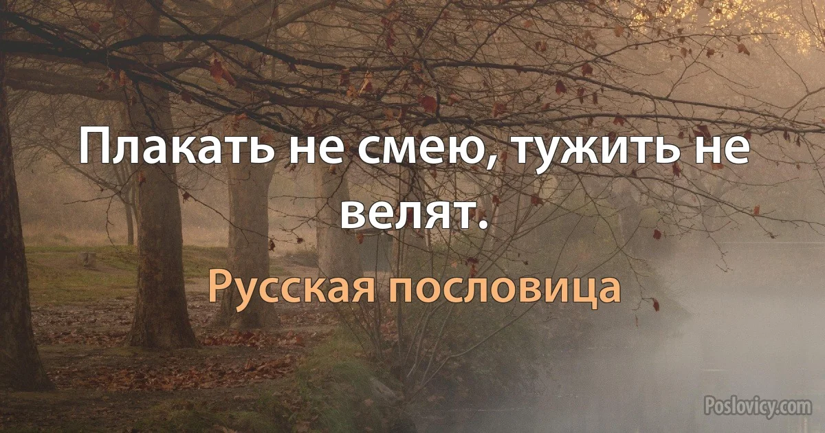 Плакать не смею, тужить не велят. (Русская пословица)