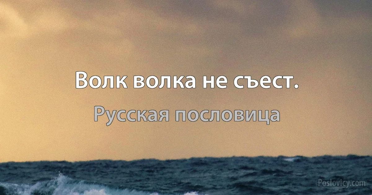 Волк волка не съест. (Русская пословица)