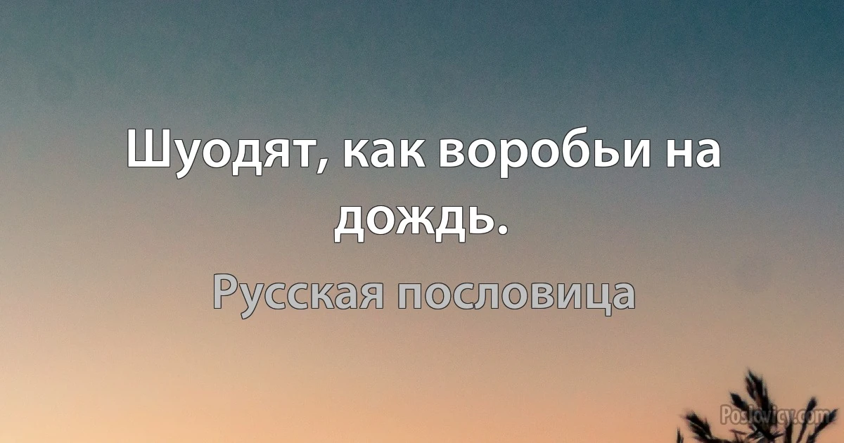 Шуодят, как воробьи на дождь. (Русская пословица)