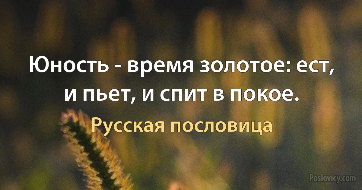 Юность - время золотое: ест, и пьет, и спит в покое. (Русская пословица)