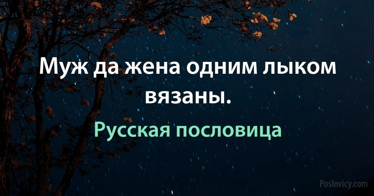 Муж да жена одним лыком вязаны. (Русская пословица)