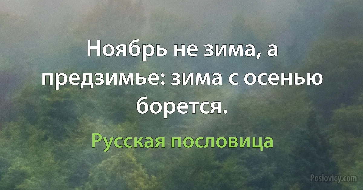 Ноябрь не зима, а предзимье: зима с осенью борется. (Русская пословица)