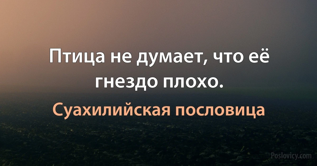 Птица не думает, что её гнездо плохо. (Суахилийская пословица)