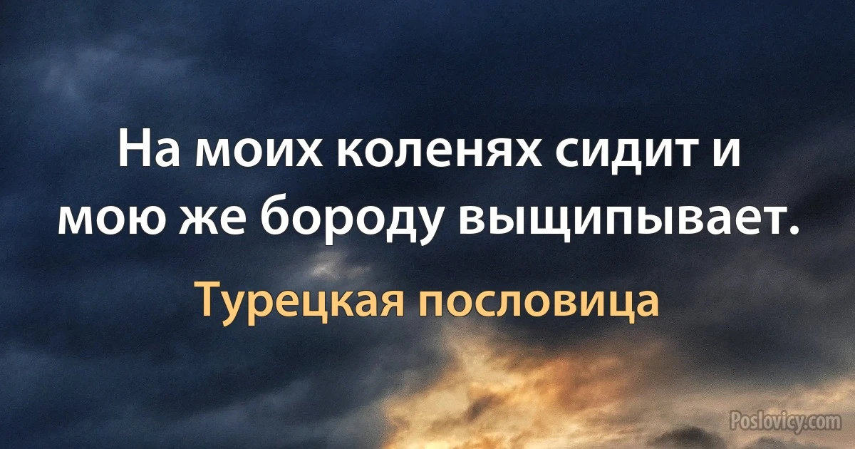 На моих коленях сидит и мою же бороду выщипывает. (Турецкая пословица)