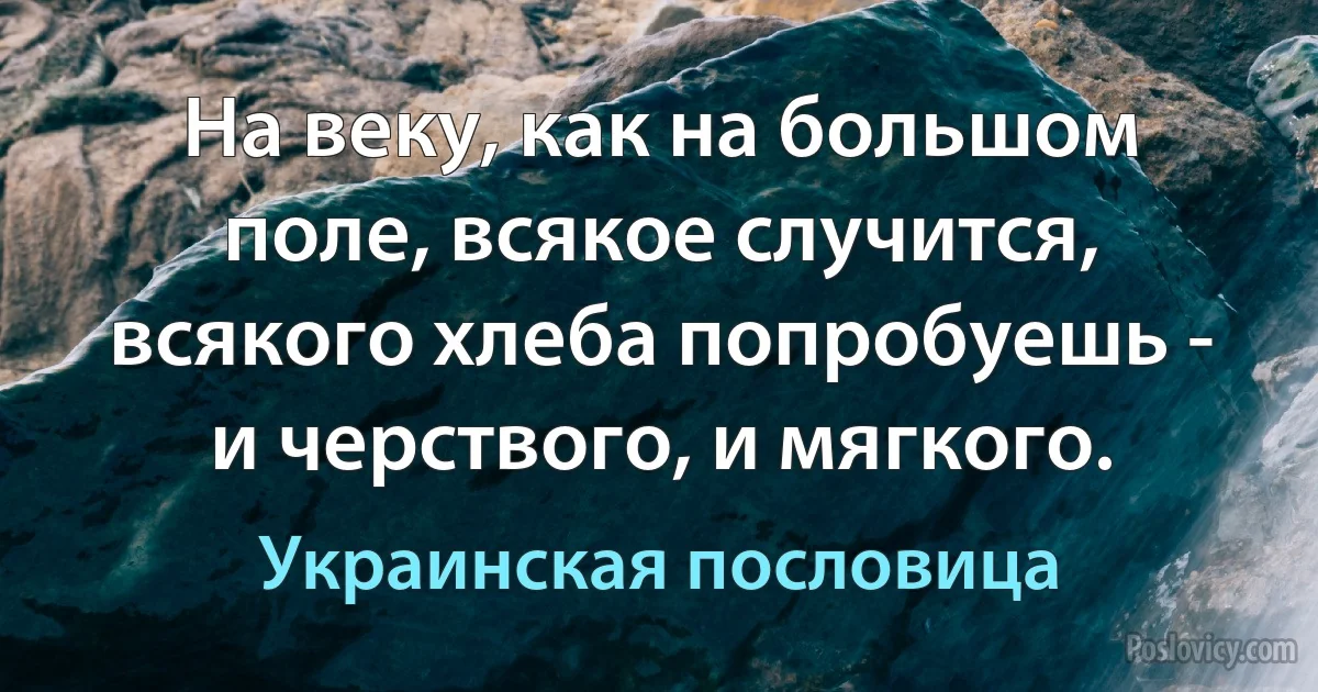 На веку, как на большом поле, всякое случится, всякого хлеба попробуешь - и черствого, и мягкого. (Украинская пословица)