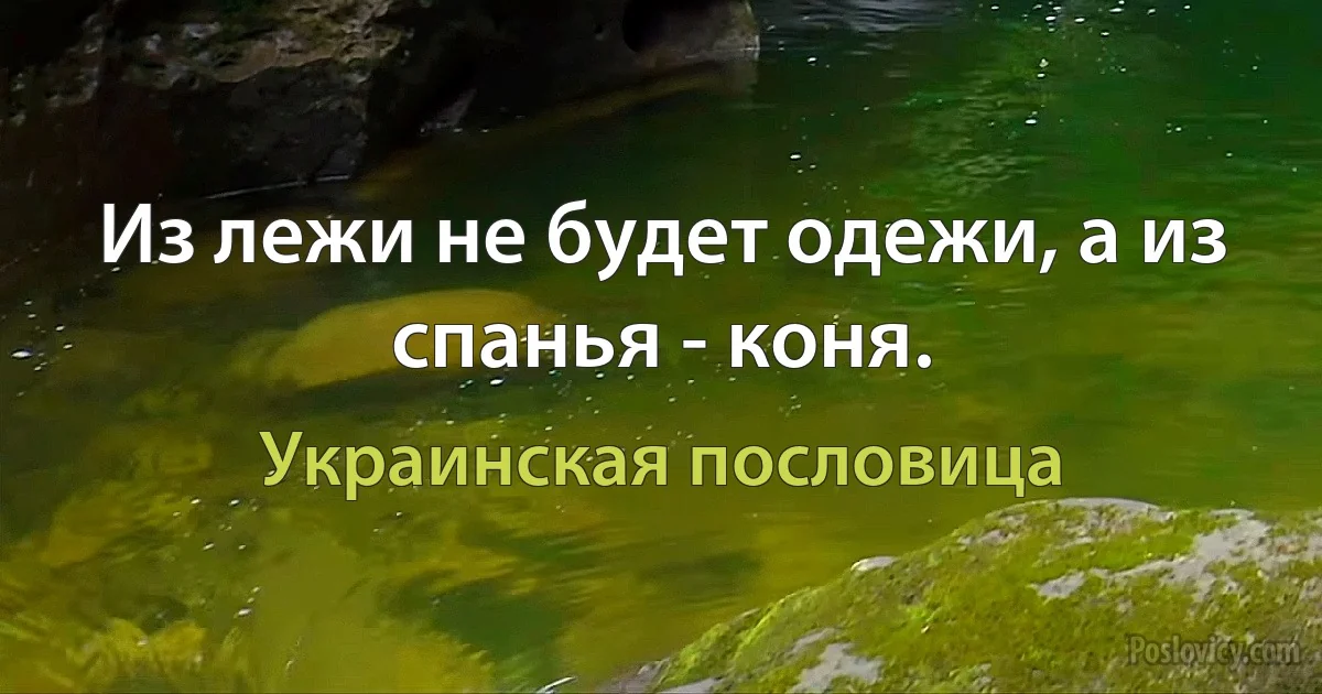 Из лежи не будет одежи, а из спанья - коня. (Украинская пословица)