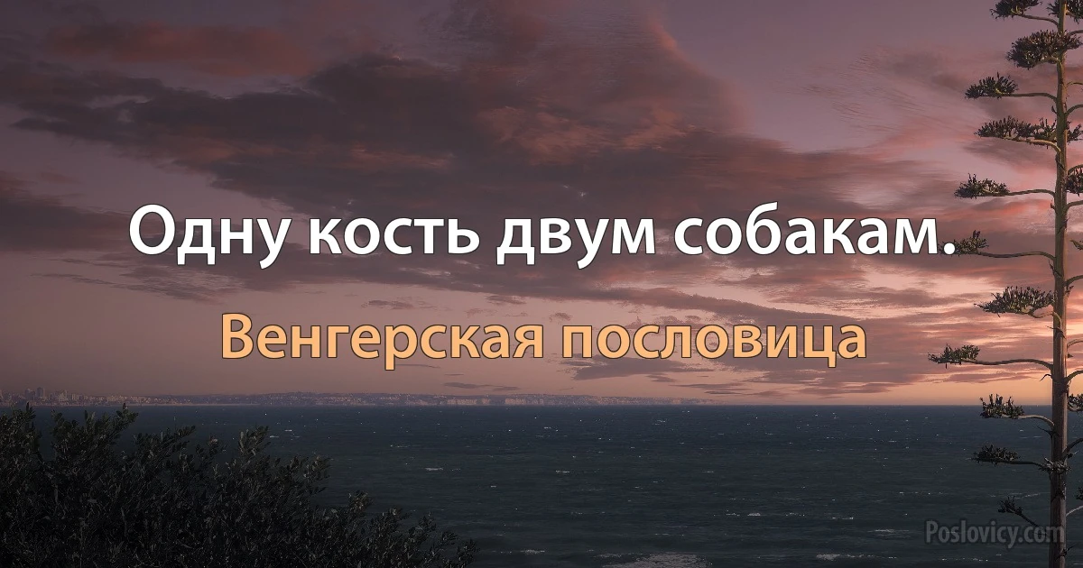 Одну кость двум собакам. (Венгерская пословица)