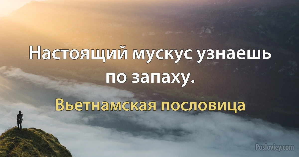 Настоящий мускус узнаешь по запаху. (Вьетнамская пословица)