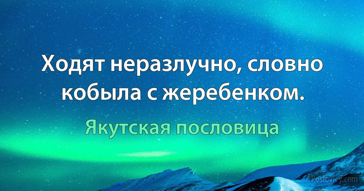 Ходят неразлучно, словно кобыла с жеребенком. (Якутская пословица)