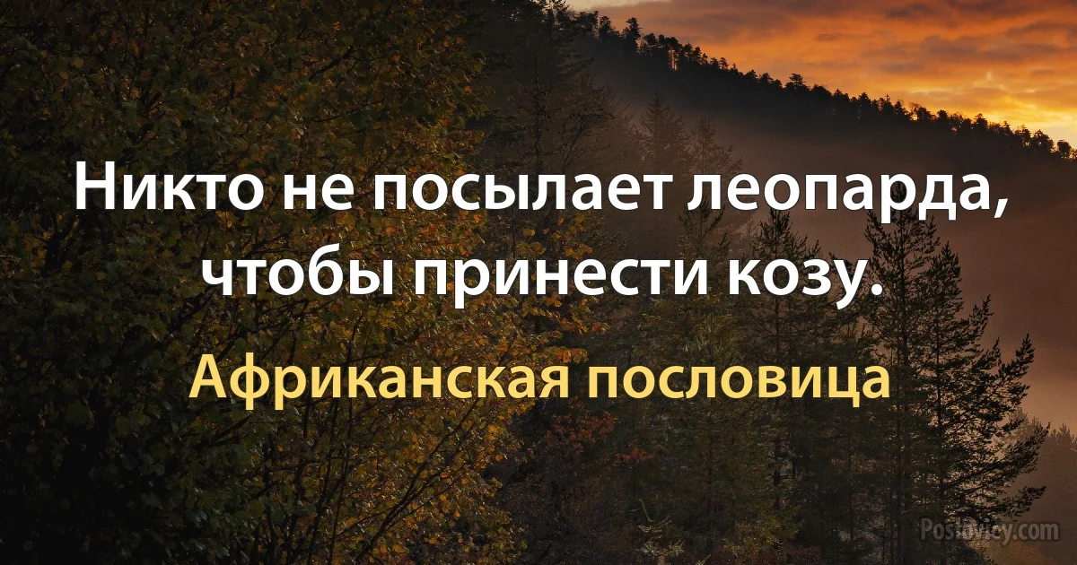 Никто не посылает леопарда, чтобы принести козу. (Африканская пословица)