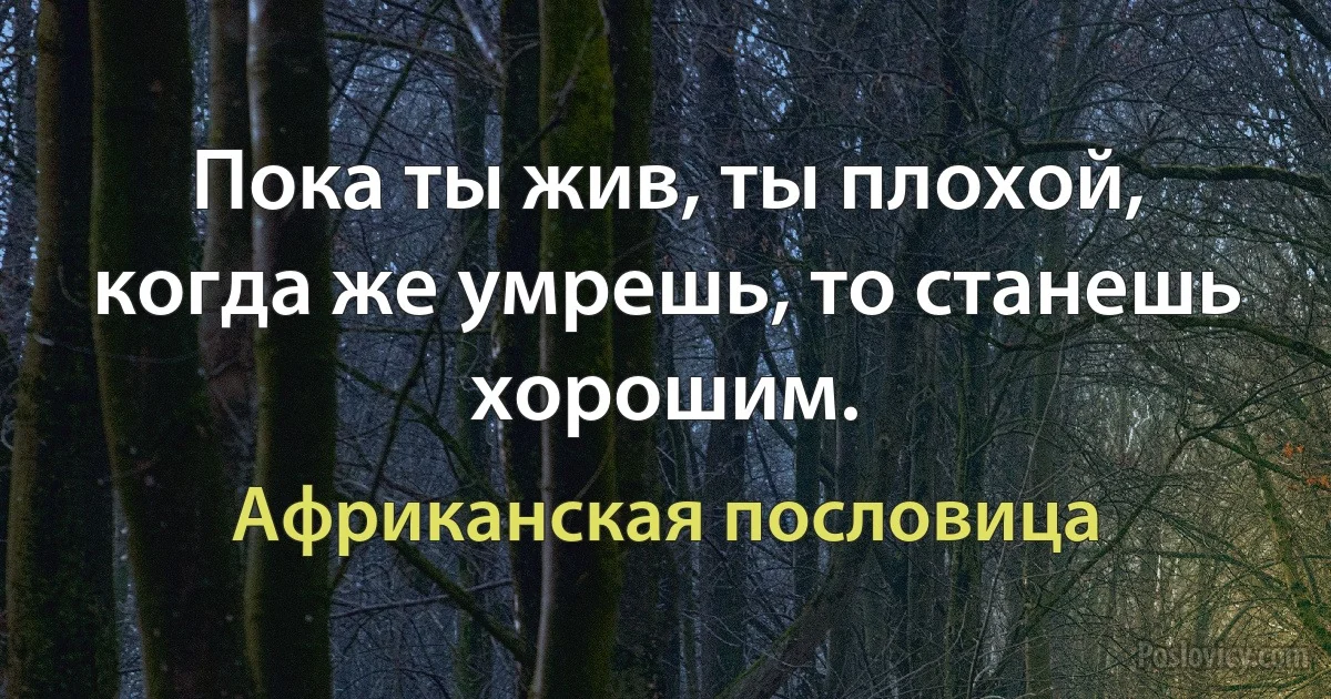 Пока ты жив, ты плохой, когда же умрешь, то станешь хорошим. (Африканская пословица)