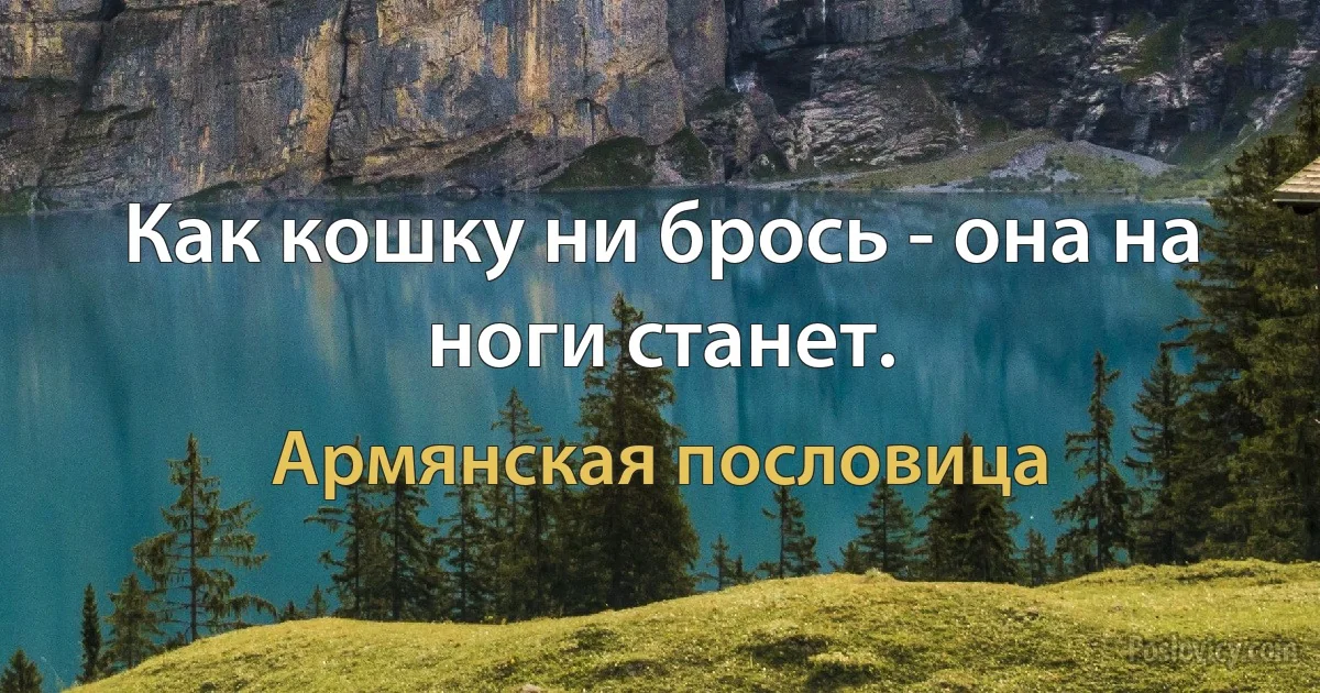 Как кошку ни брось - она на ноги станет. (Армянская пословица)