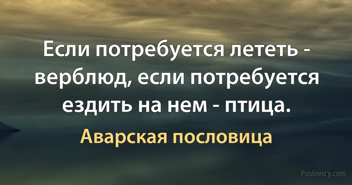 Если потребуется лететь - верблюд, если потребуется ездить на нем - птица. (Аварская пословица)