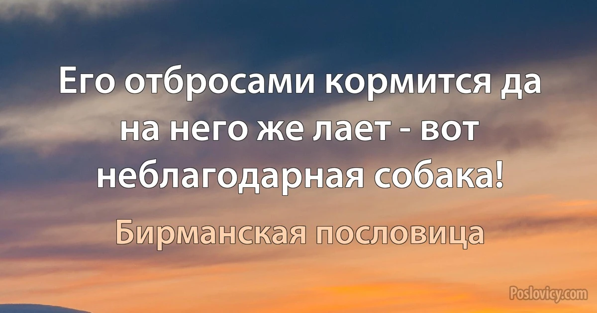 Его отбросами кормится да на него же лает - вот неблагодарная собака! (Бирманская пословица)