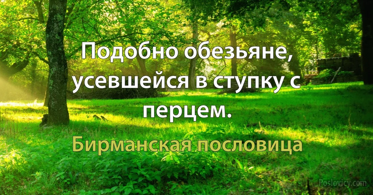 Подобно обезьяне, усевшейся в ступку с перцем. (Бирманская пословица)