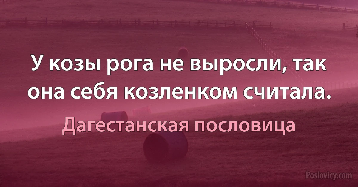 У козы рога не выросли, так она себя козленком считала. (Дагестанская пословица)