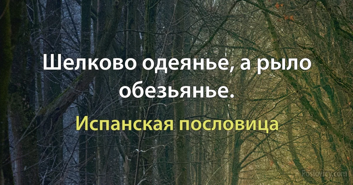 Шелково одеянье, а рыло обезьянье. (Испанская пословица)