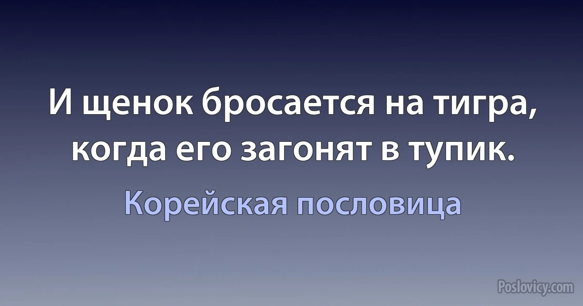 И щенок бросается на тигра, когда его загонят в тупик. (Корейская пословица)