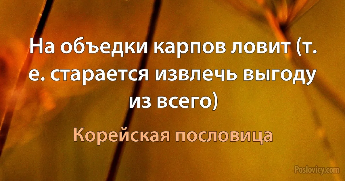 На объедки карпов ловит (т. е. старается извлечь выгоду из всего) (Корейская пословица)