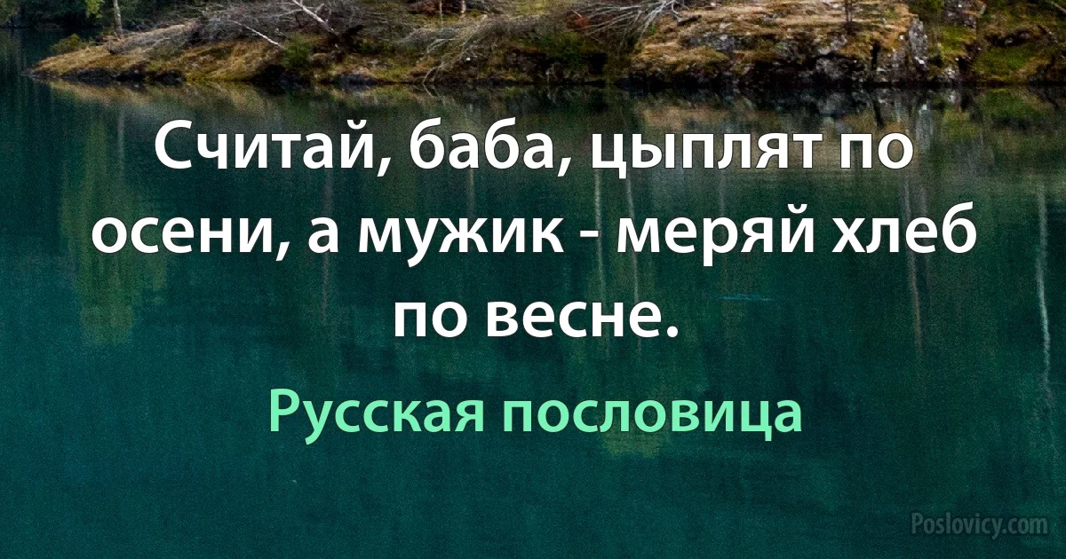 Считай, баба, цыплят по осени, а мужик - меряй хлеб по весне. (Русская пословица)