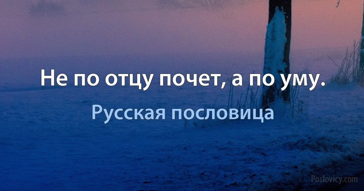 Не по отцу почет, а по уму. (Русская пословица)