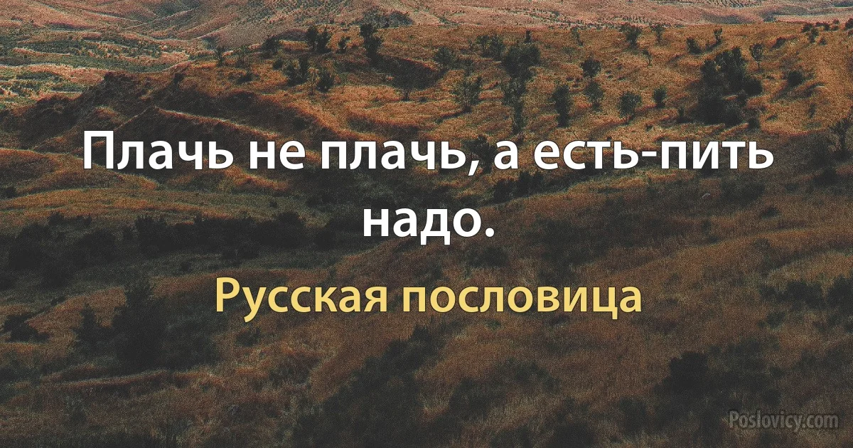 Плачь не плачь, а есть-пить надо. (Русская пословица)