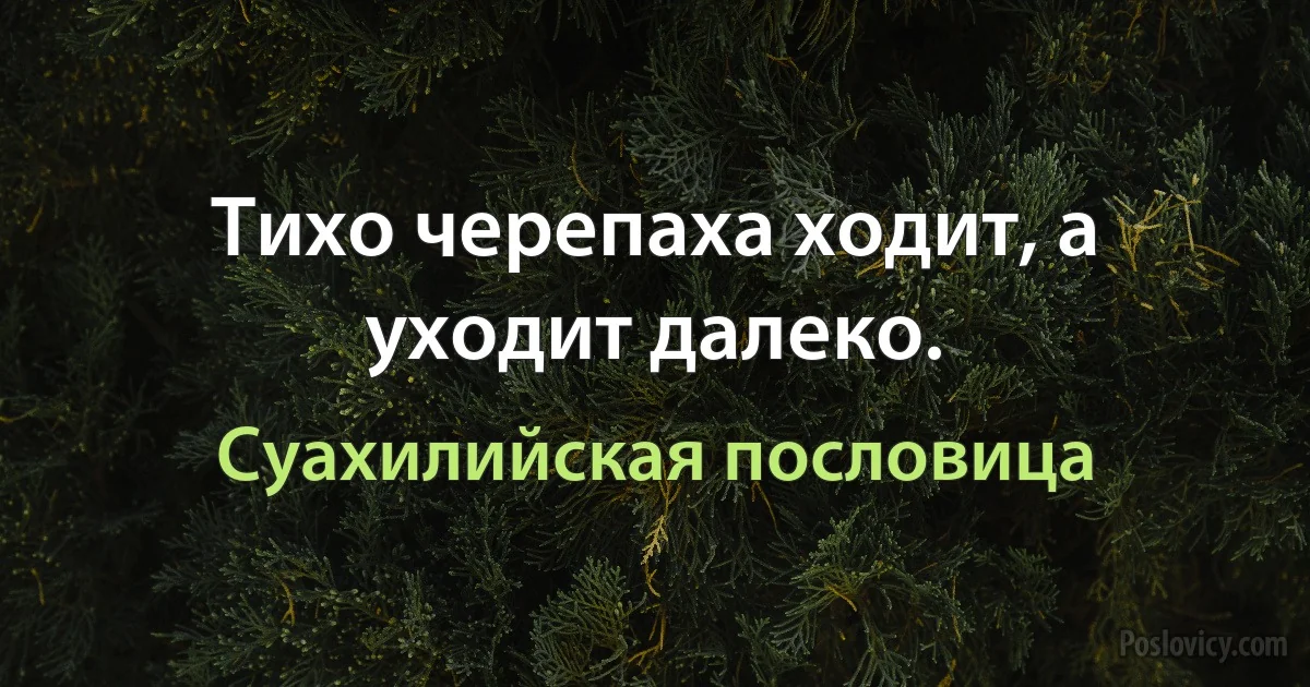 Тихо черепаха ходит, а уходит далеко. (Суахилийская пословица)